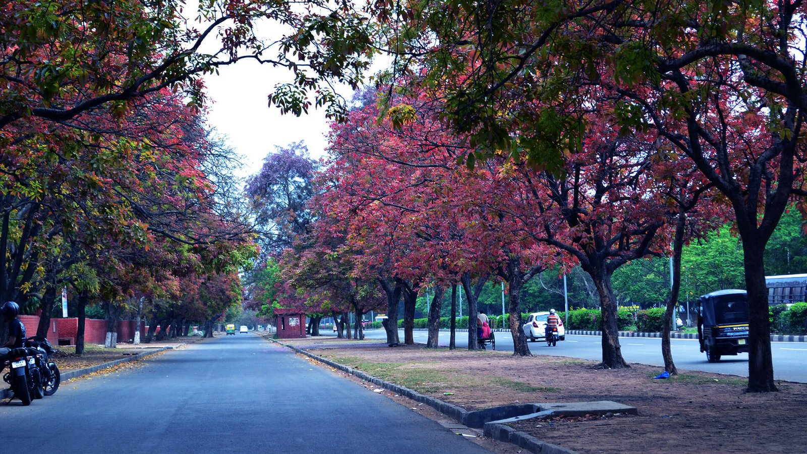 Taxi Service in Delhi